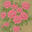 Green Floral